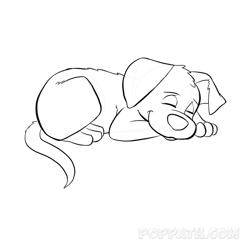 800x800 How To Draw A Sleeping Dog Pop Path