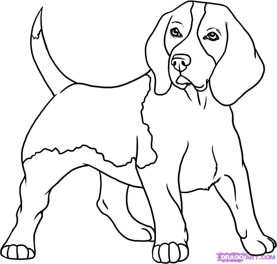 905x865 Concept Design Home Dog Drawing For Kids Images