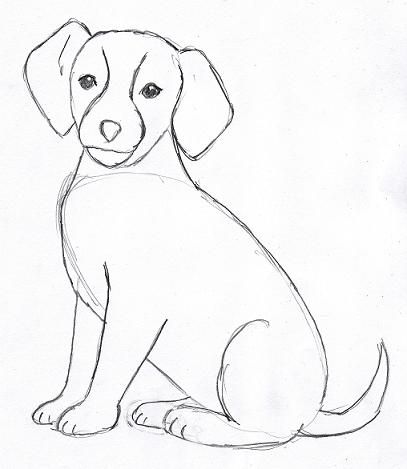 407x469 Dog Drawing 4. Now Go Back And Erase Any Extra Lines You See