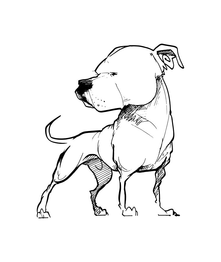 759x900 Dog Drawings Fine Art America