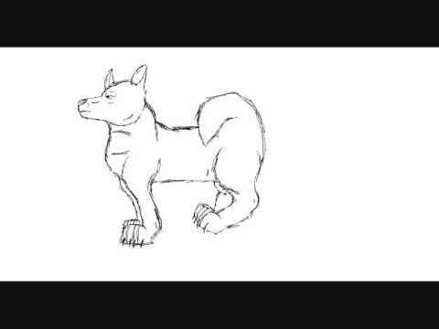 480x360 How To Drawrunning Dog