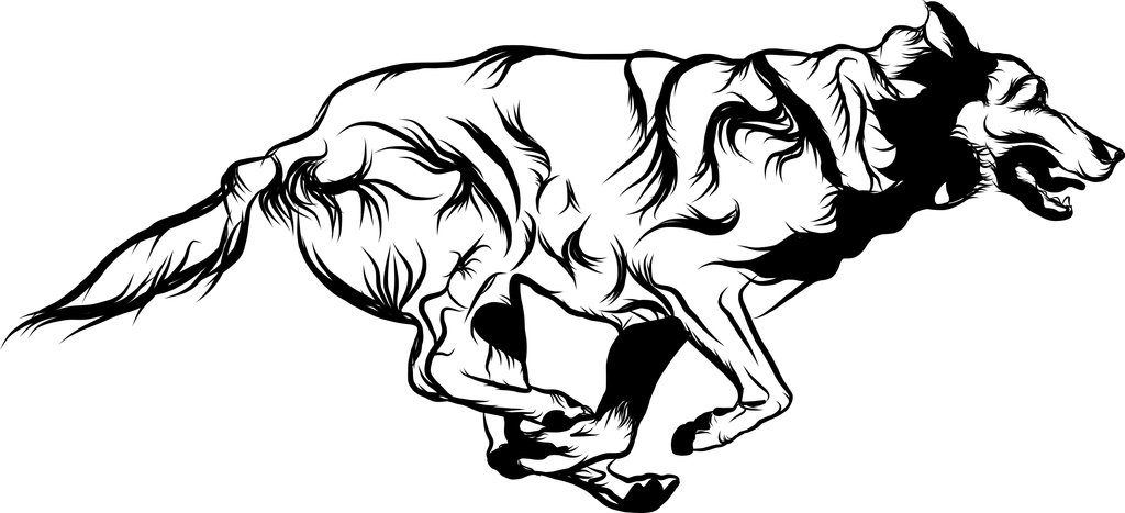 1024x467 Running Dog By 9fitp
