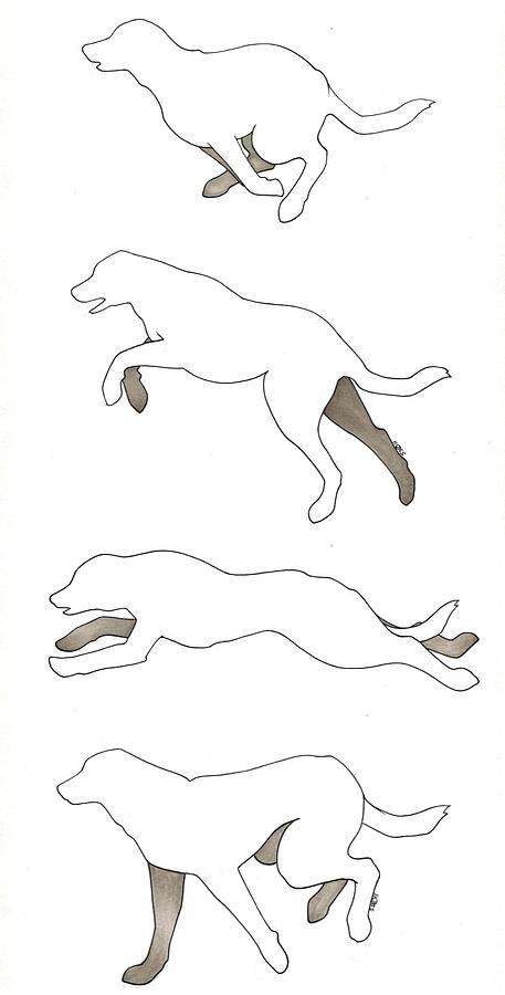 457x900 Running Dogs Drawing By Sydney Stafl