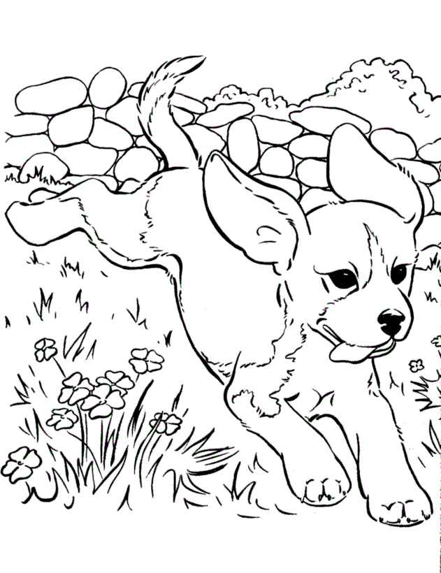 631x820 Cute Dog Running Coloring Page Animal Pages Of Kidscoloringpage