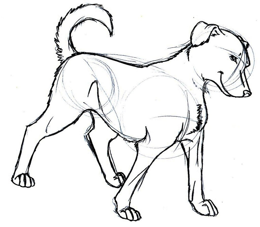 1024x897 Simple Drawing Of Dog Free Download Dog Drawings Simple Dog Sketch