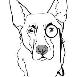 250x250 Watchdog Canine Boarding Amp Pet Sitting