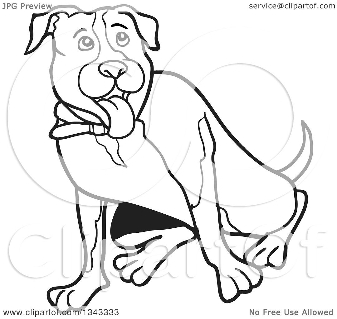 1080x1024 Lineart Clipart Of A Cartoon Black And White Pitbull Dog Sitting