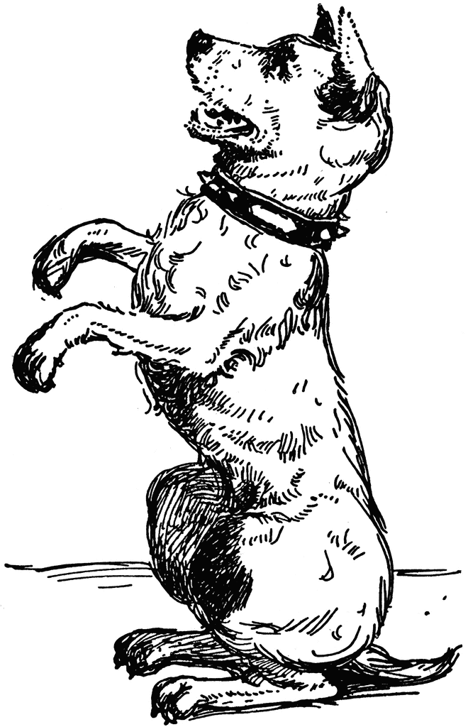 660x1024 Related Pictures Dog Sitting By Draw The Drawing