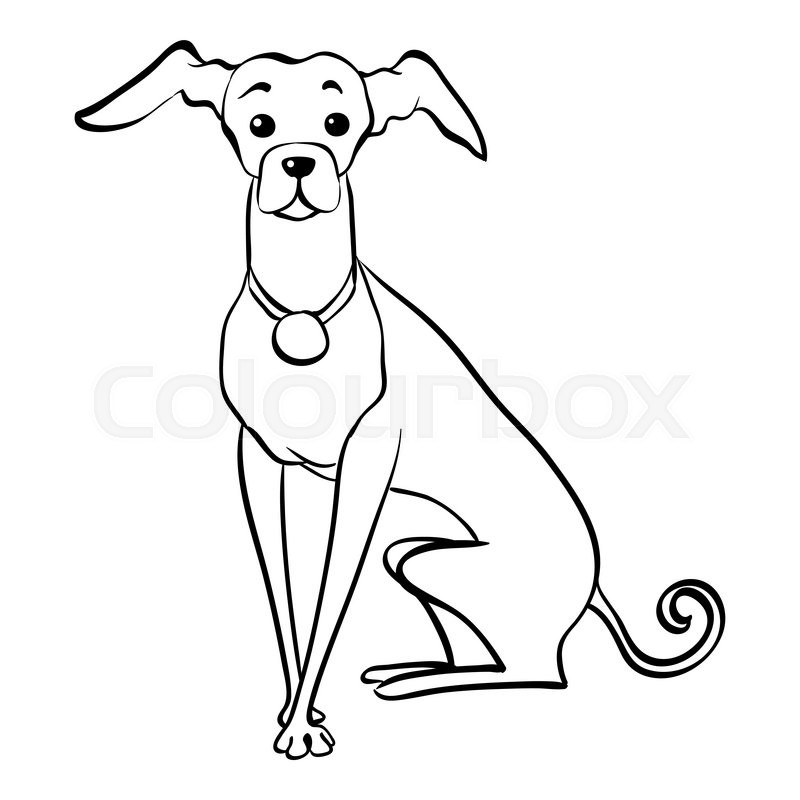 800x800 Sketch Funny Dog Italian Greyhound Breed Sitting Hand Drawing