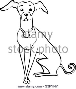 300x352 Vector Sketch Funny Italian Greyhound Dog Sitting Stock Vector Art