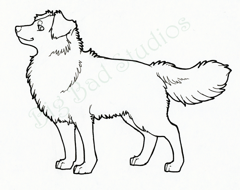 800x633 Dog Line Drawing Art Big Dogs You Find