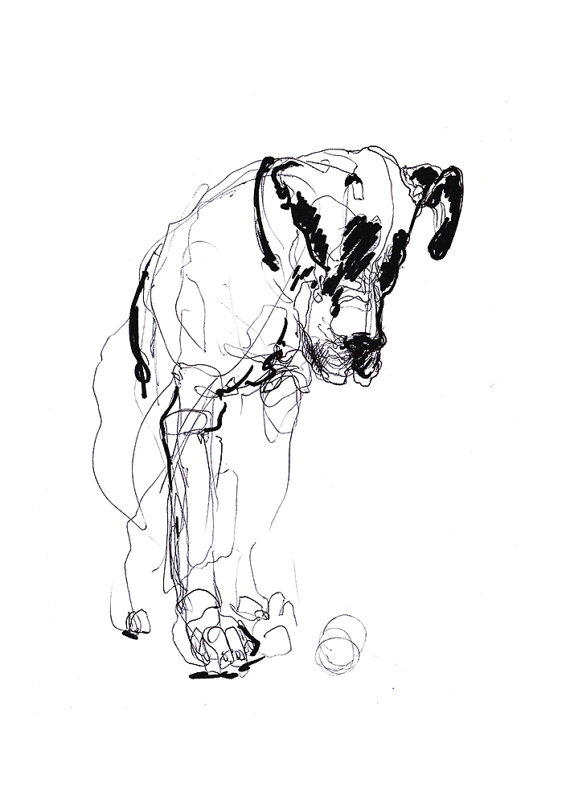 570x804 Dog Expressive Drawing Digital Print A4 A3 8x11 11x16.