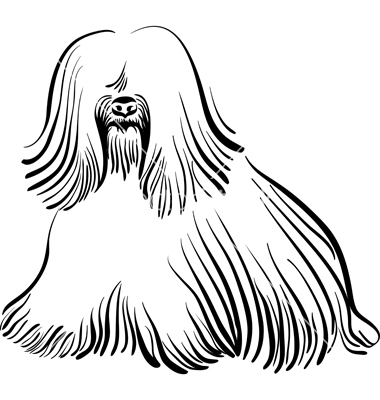 380x400 Dog Sketch Vector On Animals Amp Wildlife