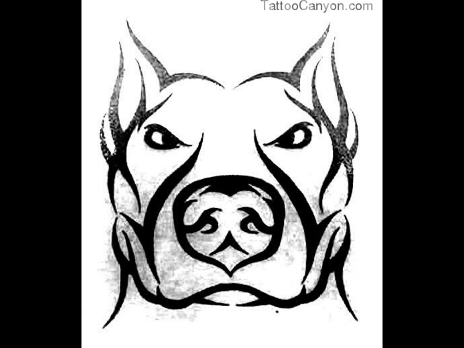 1600x1200 Drawn Pitbull Gangster