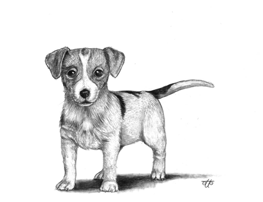 1100x845 Sketch Timelapse Dog