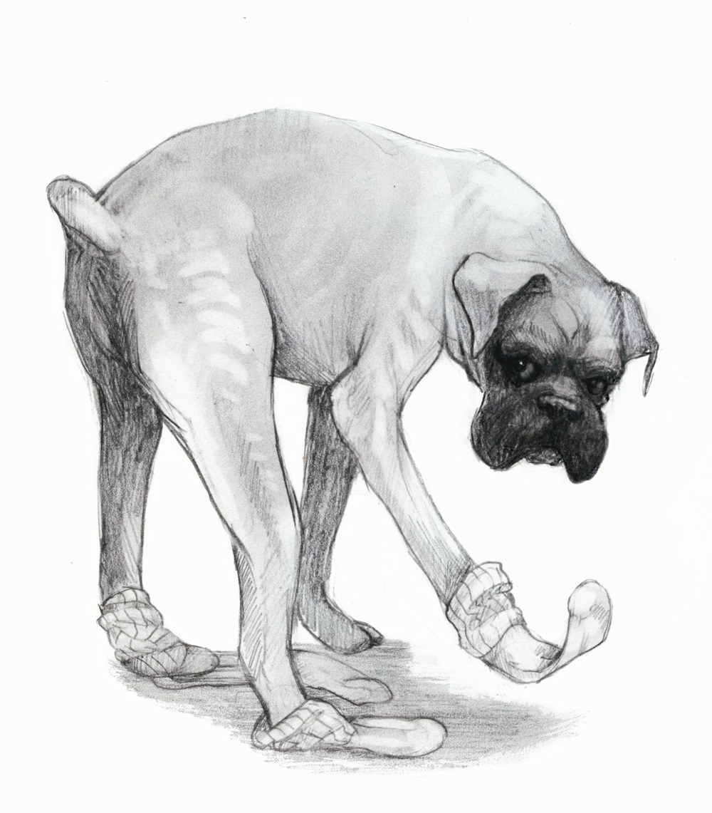 1000x1141 Sketches Dog Friday Debora V. Fulop