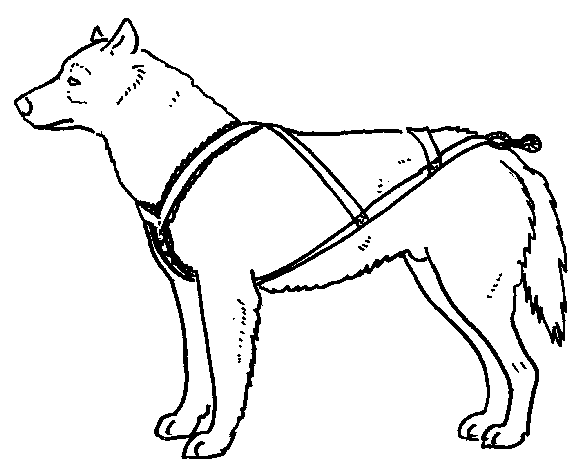 576x465 Make Your Own Dog Harness Uberpest's Journal