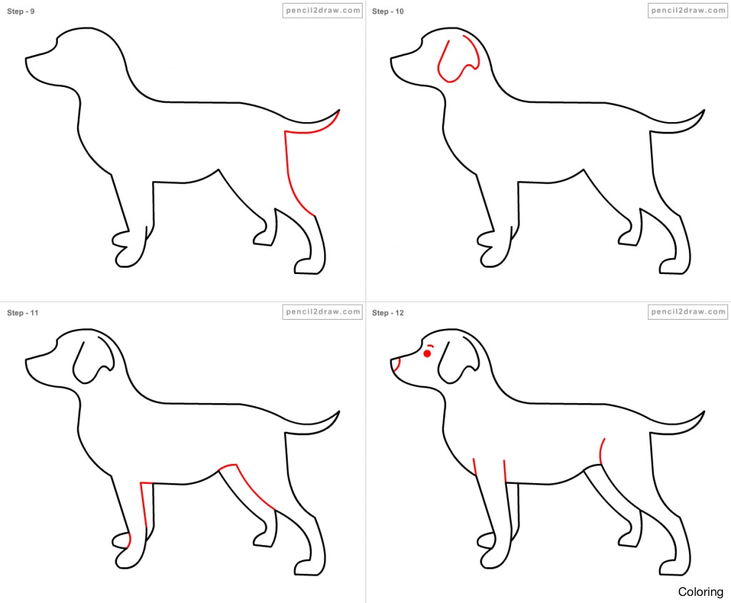 1024x845 How To Draw Dogs Coloring A Dog's Face Eye Ears Diaiz
