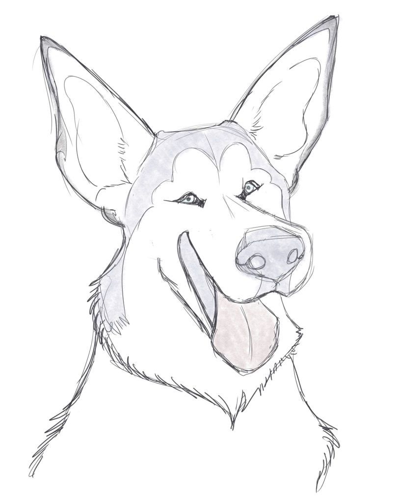 805x1024 Learn How To Draw A Dog With A Free Tutorial!