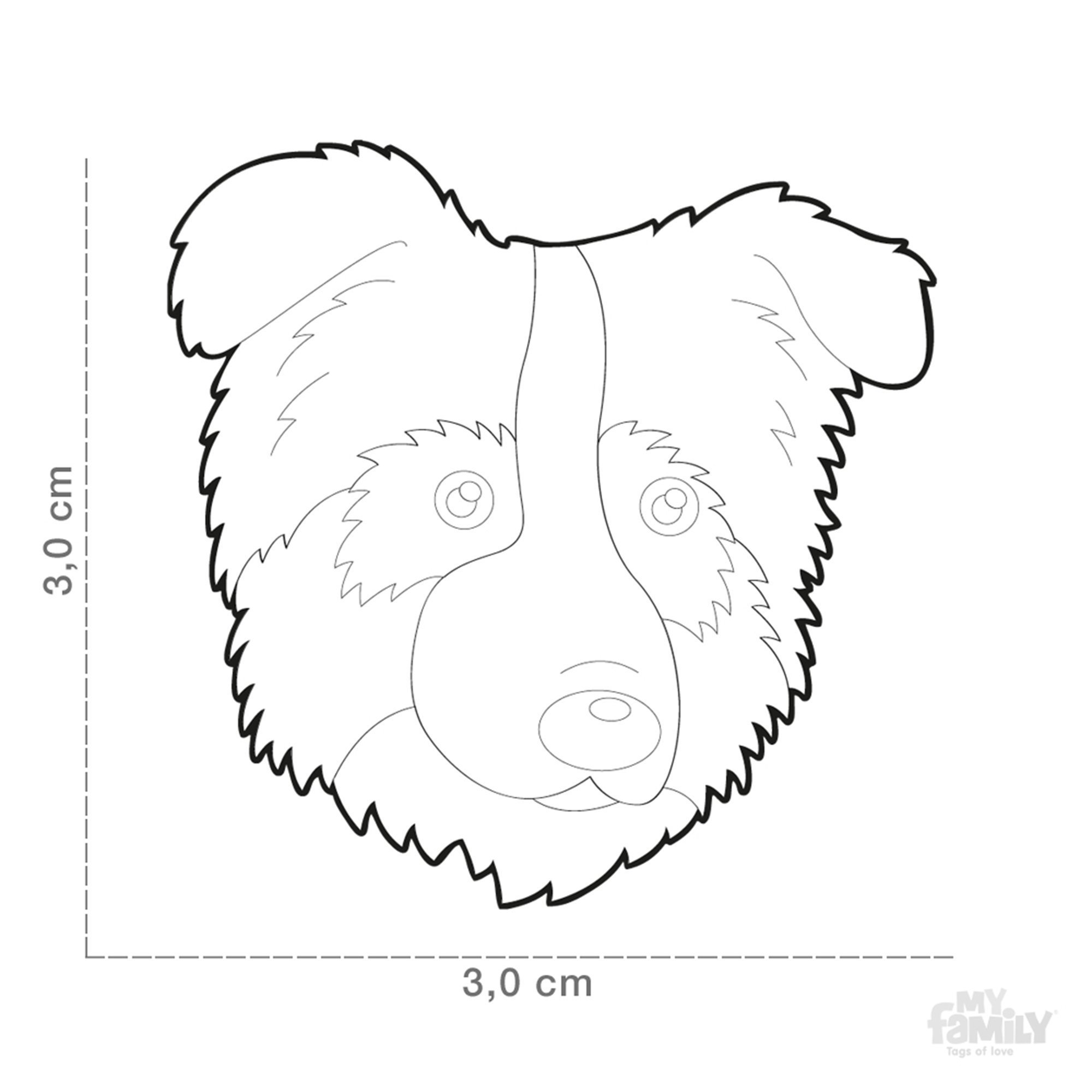 2000x2000 Friends Australian Shepherd Dog I.d. Tag