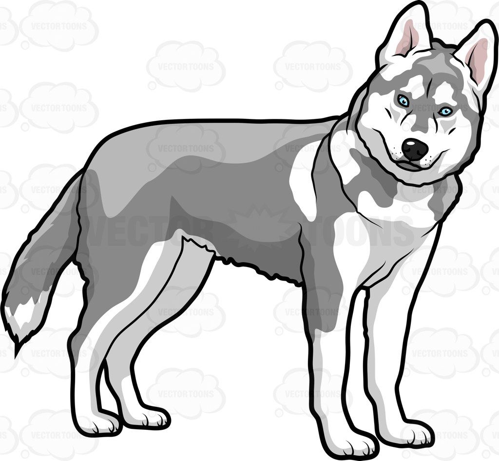 1024x946 A Big Dog Turning To Face The Camera Vector Clipart