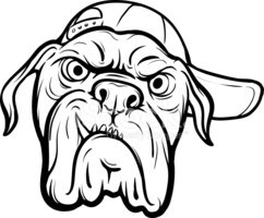 242x200 Whiteboard Drawing Angry Dog Face Stock Vectors