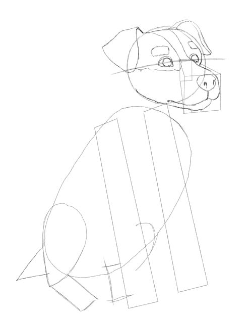 498x621 Dog Drawing Made Easy.