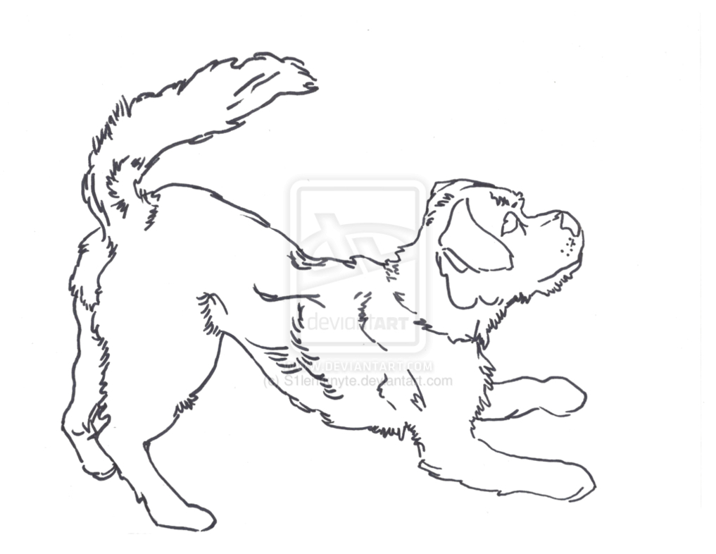 1017x786 Outline Drawing Of A Dog