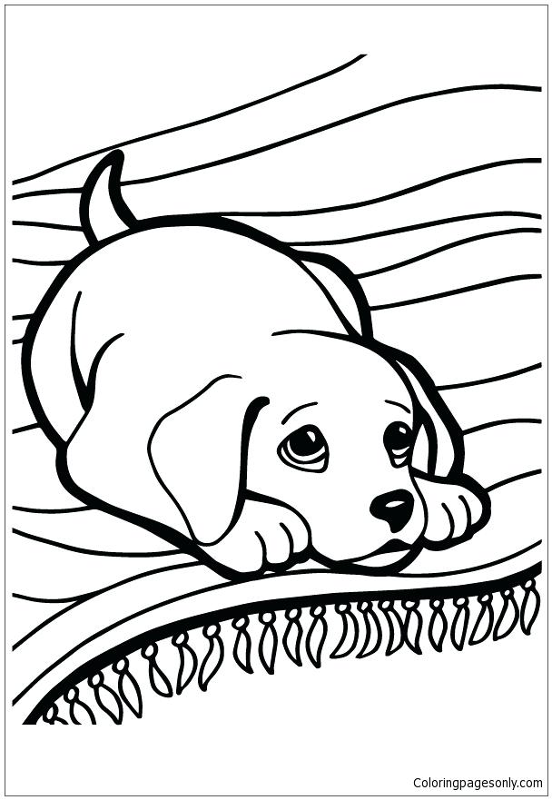 608x881 Free Husky Dog Coloring Pages
