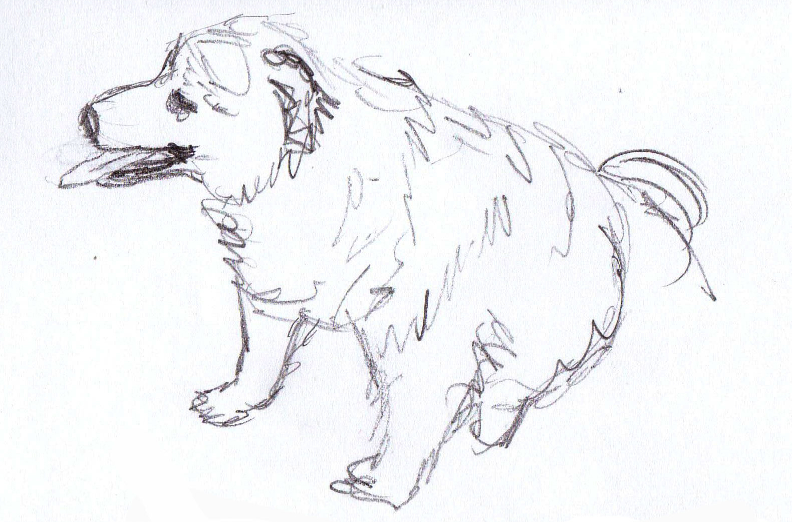 1581x1042 Sketching Techniques Archives