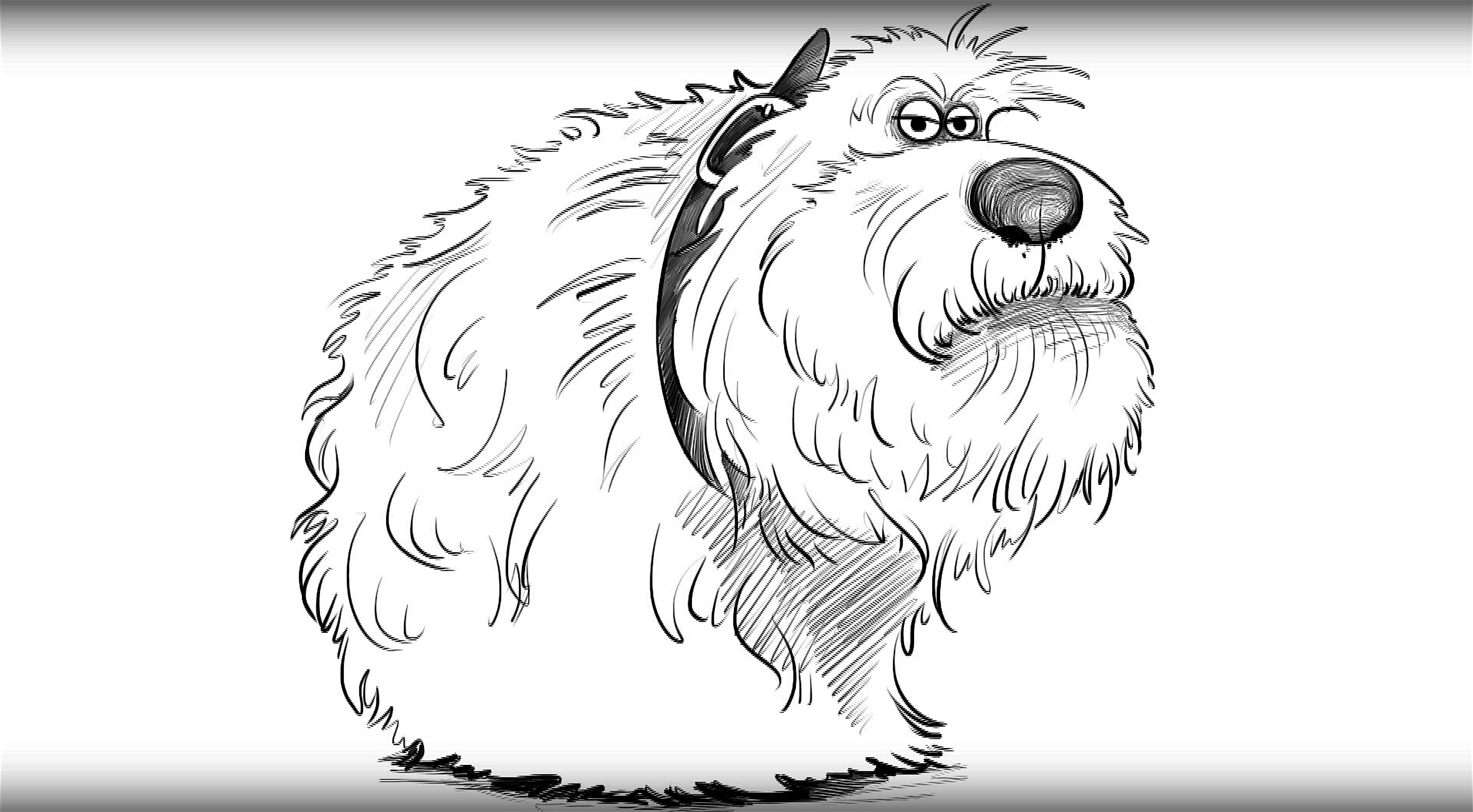 3342x1844 How To Draw A Dog Duke From The Secret Life Of Pets