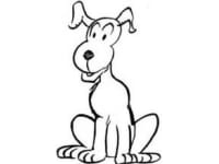 200x150 Dog Walking In Nuneaton Reviews