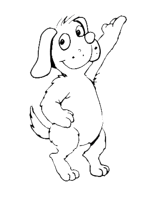 320x428 Haslemere Dog Walking