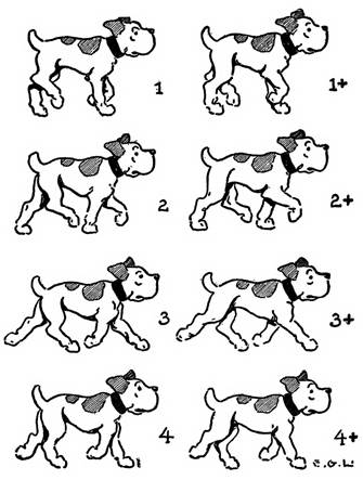 Dog Walking Drawing at GetDrawings | Free download