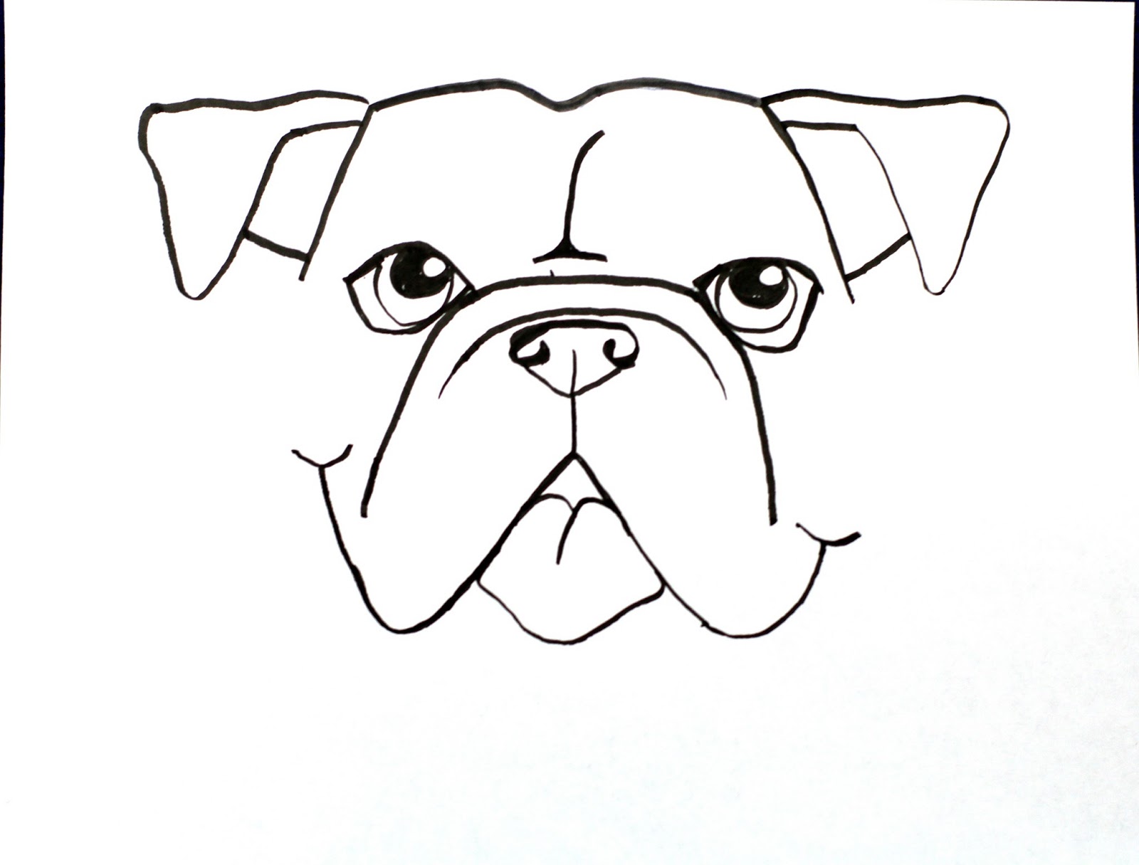 1600x1215 Drawn Bulldog Really