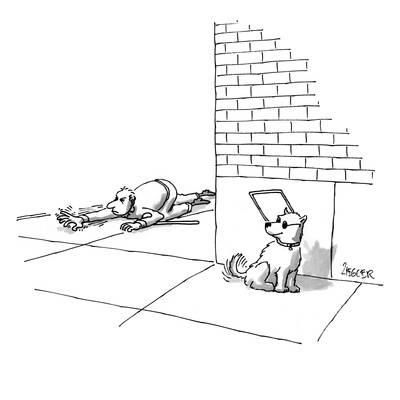 400x400 Seeing Eye Dog Eludes Blind Owner He Is Wearing The Sunglasses