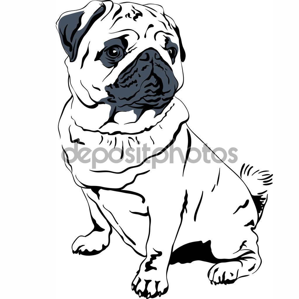 1024x1024 Vector Sketch Dog Pug Breed Hand Drawing Vector Stock Vector