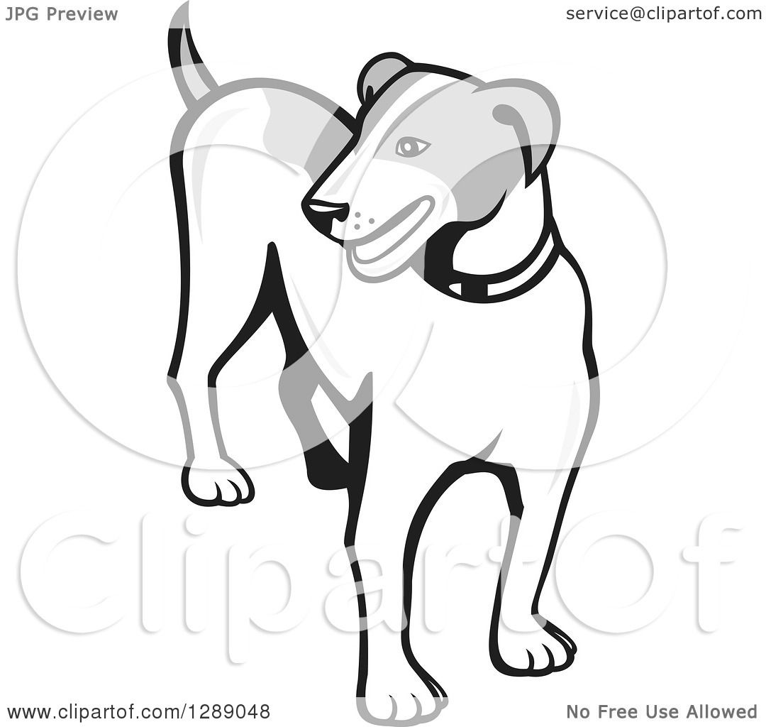1080x1024 Clipart Of A Retro Grayscale Cartoon Jack Russell Terrier Dog