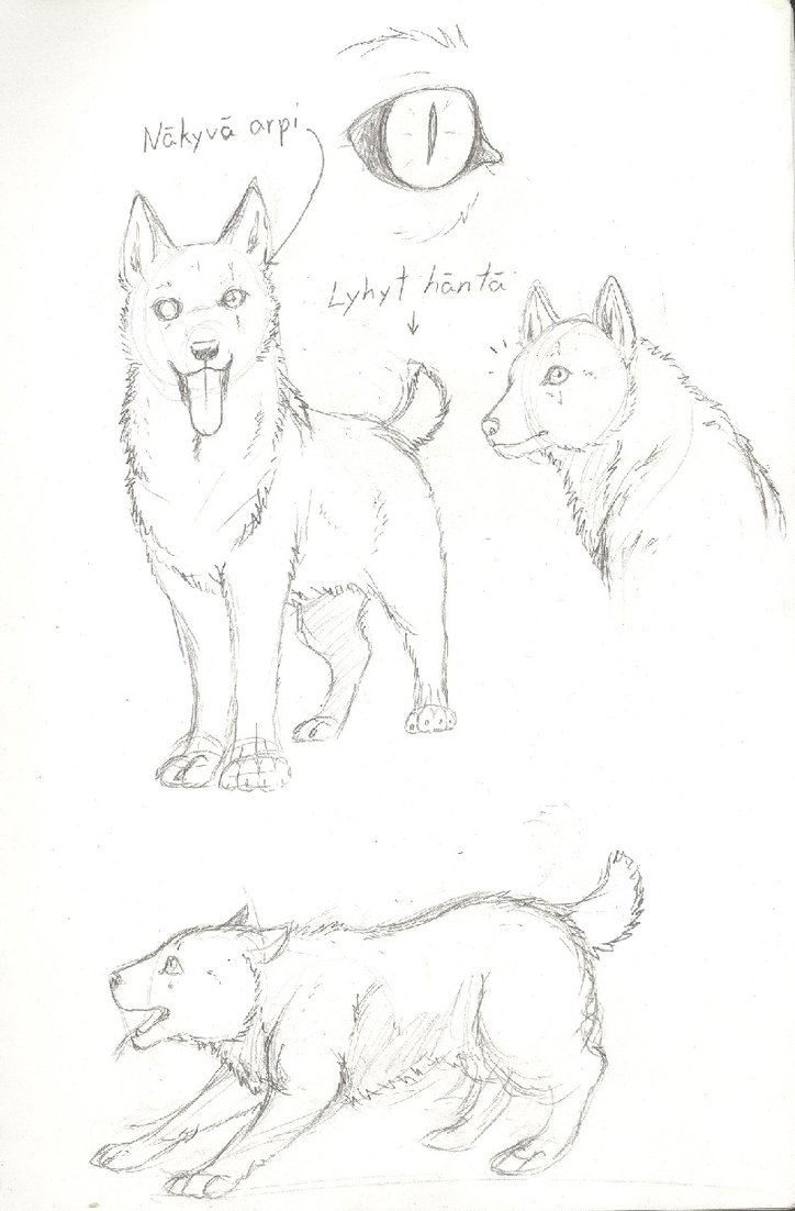 724x1102 Kalma Doge By Suskar