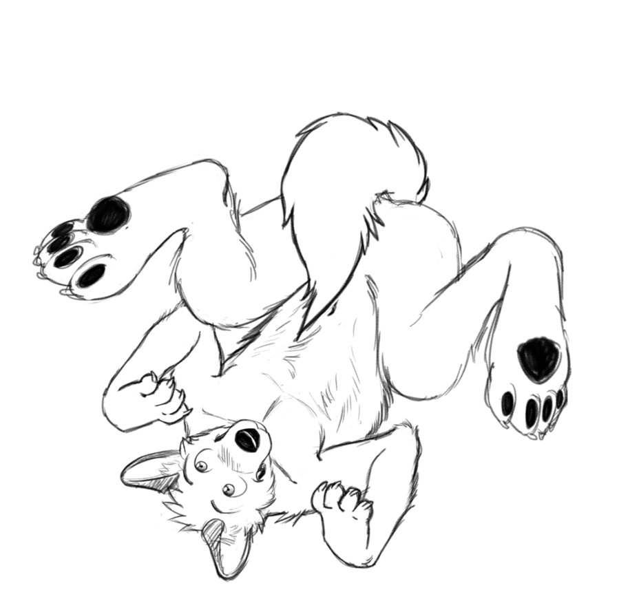 899x889 Playful Doge By Stickmanwww