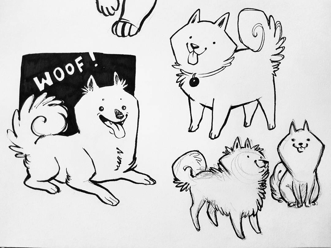 1080x810 Trying To Draw Samoyed Doge Beautiful Art Doge