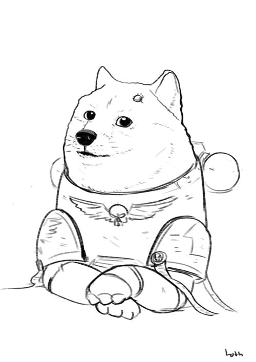 500x707 Doge In Space Tumblr