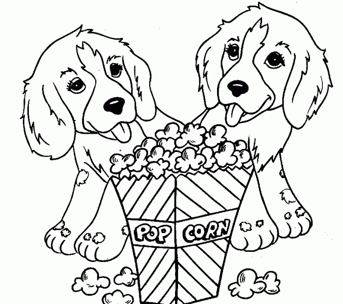 678x600 Doggy Colouring Pages Kids Coloring