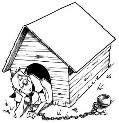 387x399 Doghouse The B.s. Report