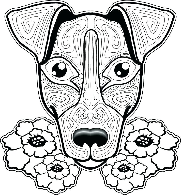 736x793 Coloring Cats And Dogs Coloring Pages Charming Dogs And Cats