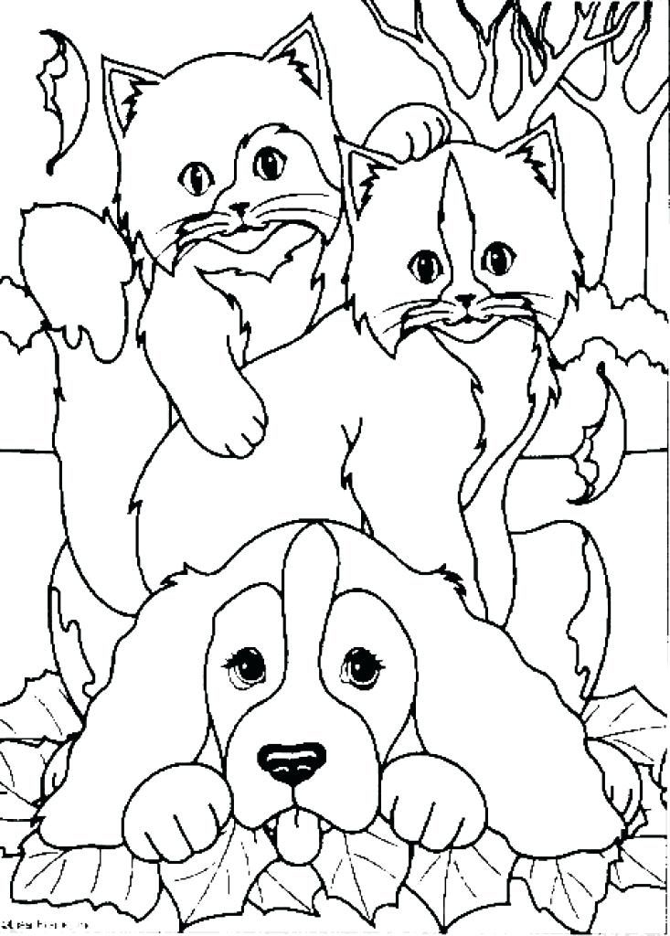 733x1024 Dog And Cat Coloring Page
