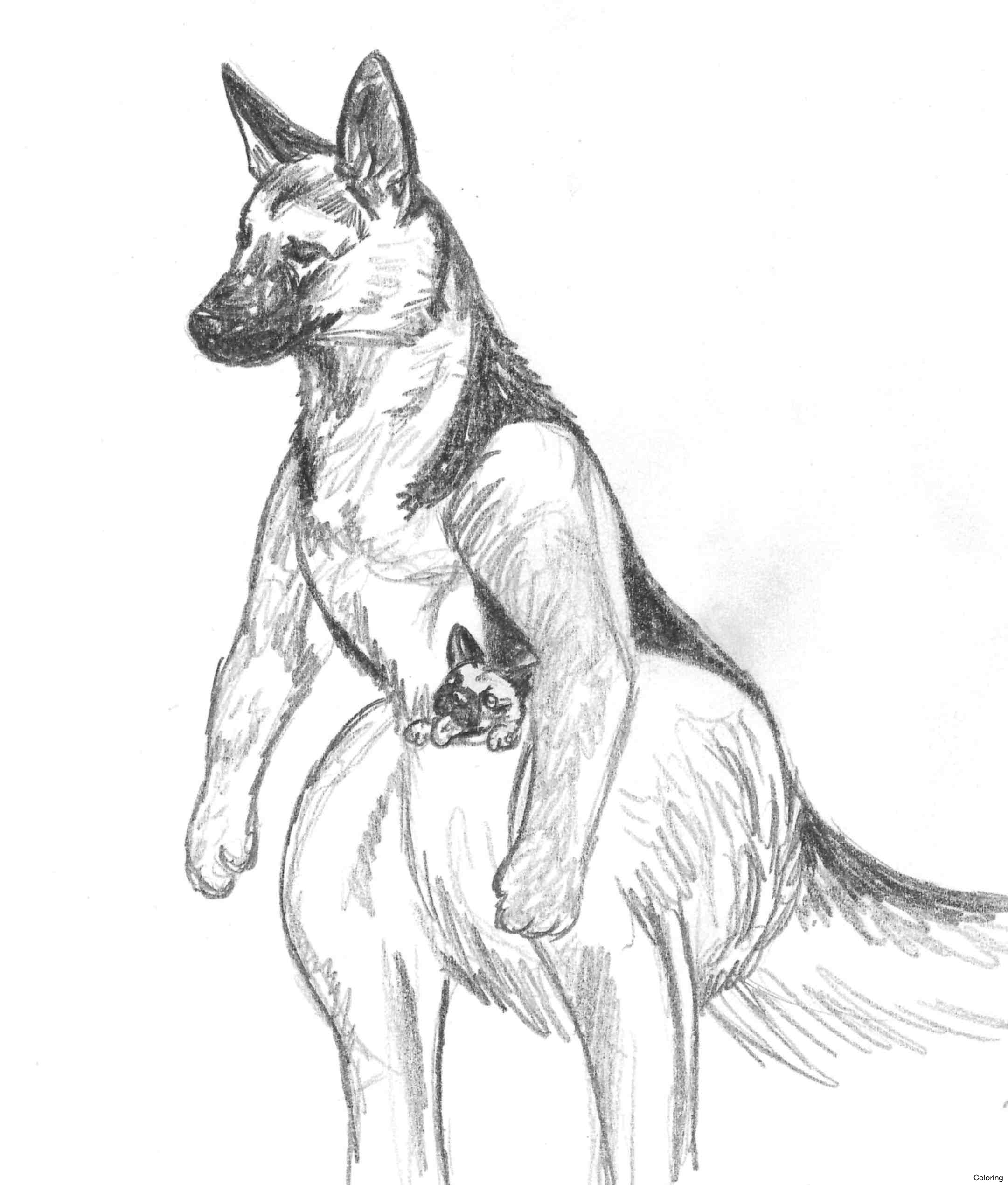 2161x2540 Maxresdefault German Shepherd Drawings Coloring 3f Of Dogs Easy