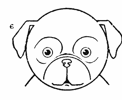 424x348 Puppy Drawing Step By Step