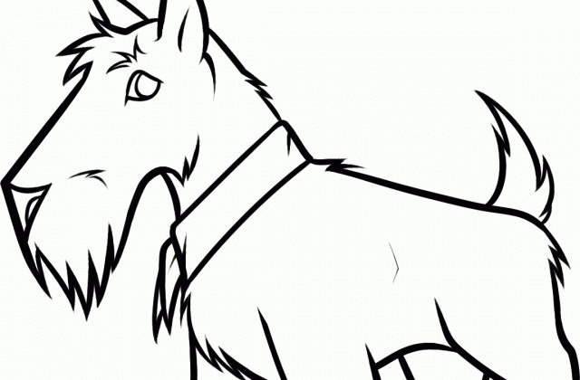 640x420 Tag For Dog Pictures Sketch For Kids How To Draw A Scottie Dog