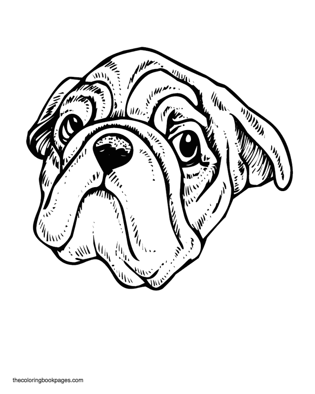 640x800 Dog Face Coloring Pages